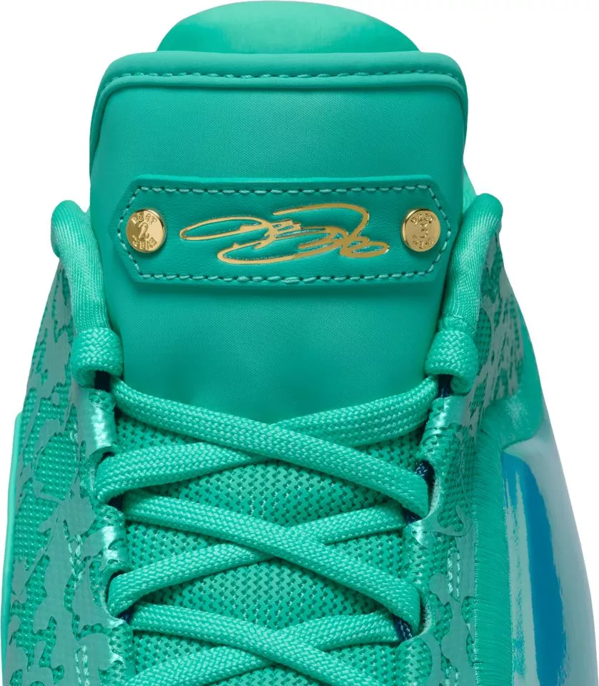 Basketball sko Nike LeBron XXII