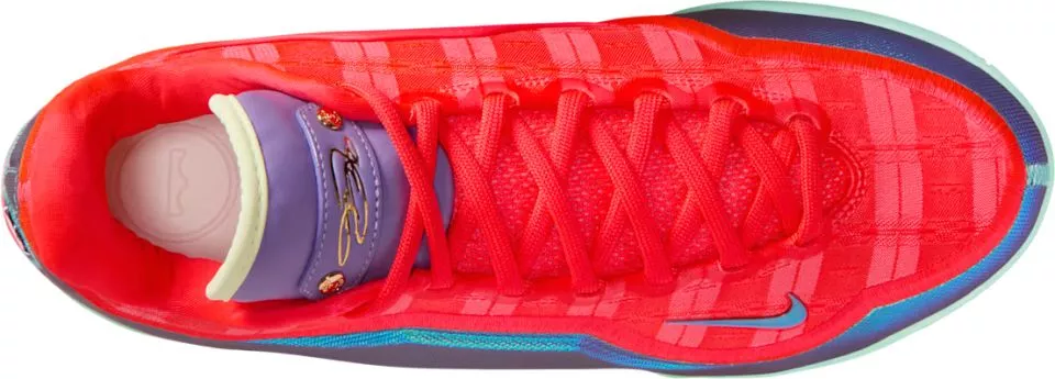 Basketball sko Nike LeBron XXII