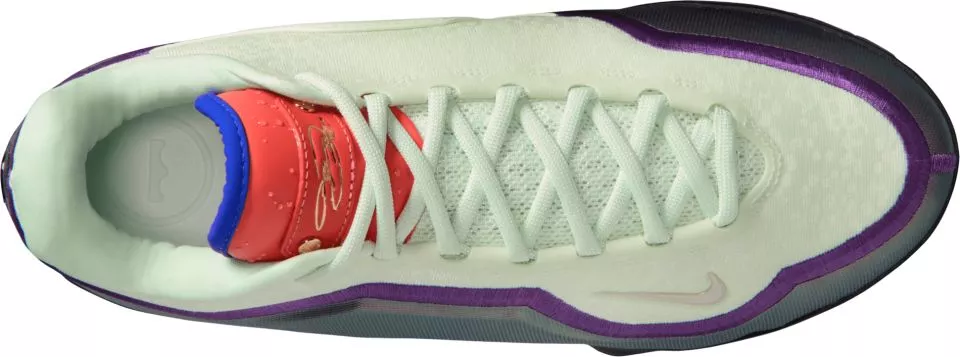 Basketball sko Nike LeBron XXII