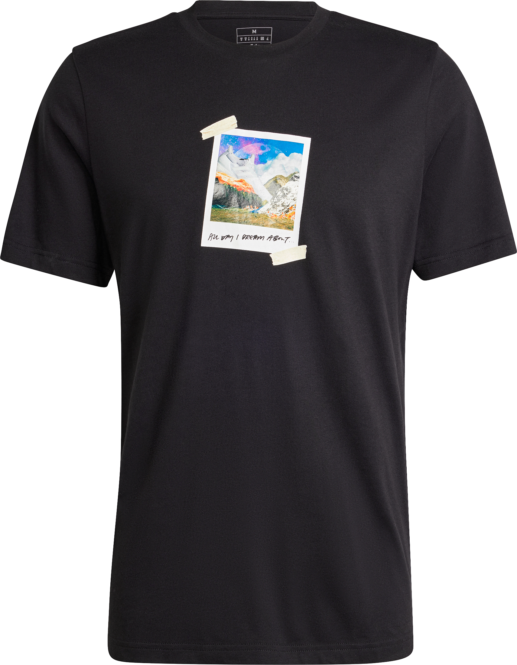 All Day I Dream About