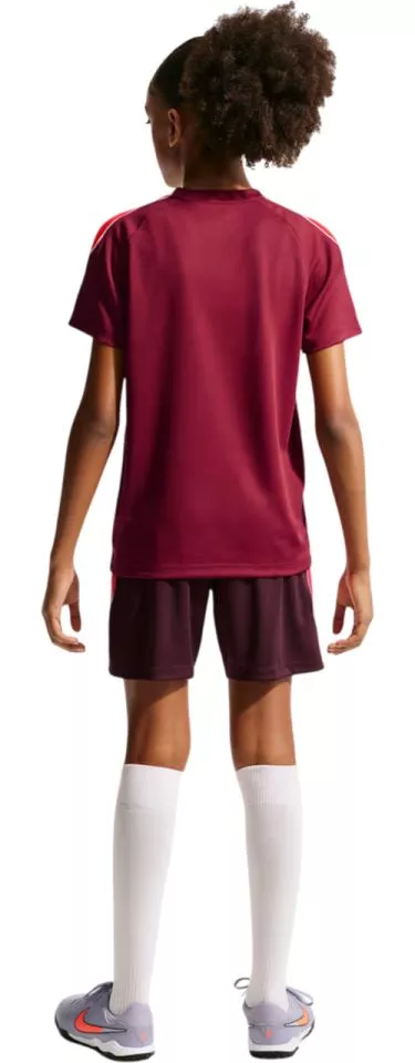 Nike Dri-FIT Strike Rövid ujjú póló