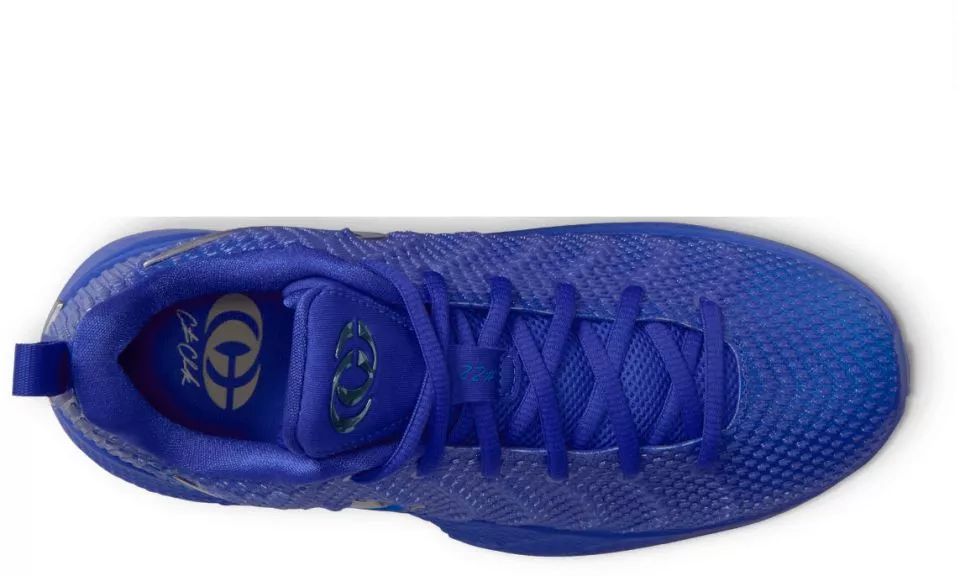 Παπούτσια μπάσκετ Nike Caitlin 1 GS