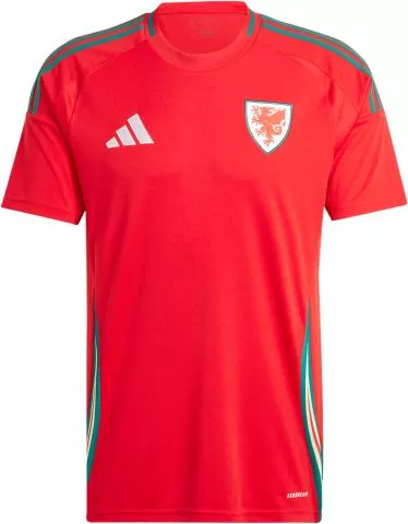 Wales Home 2024