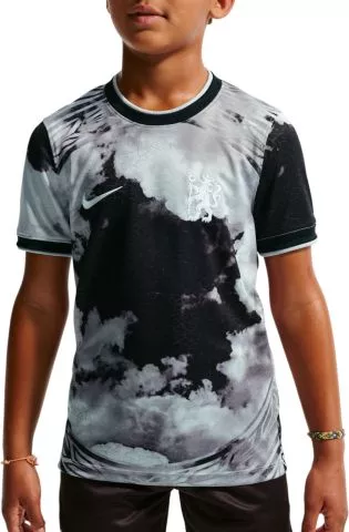 Dri-FIT Chelsea FC Pre-Match 2026/27