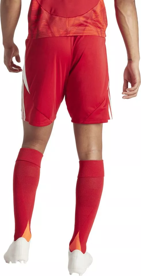 Shorts adidas TIRO24 SHO