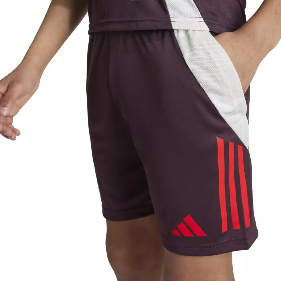 Shorts adidas FCB TR SHO Y 2024/25