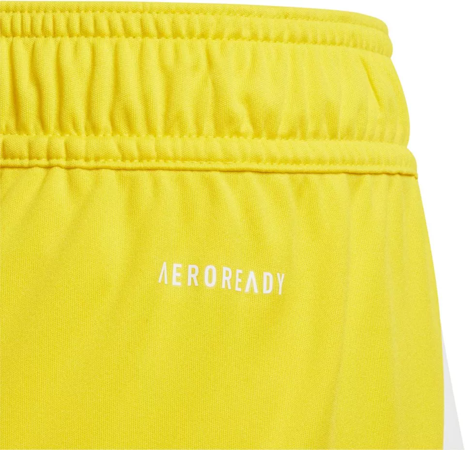 Shorts adidas TIRO24 SHO Y