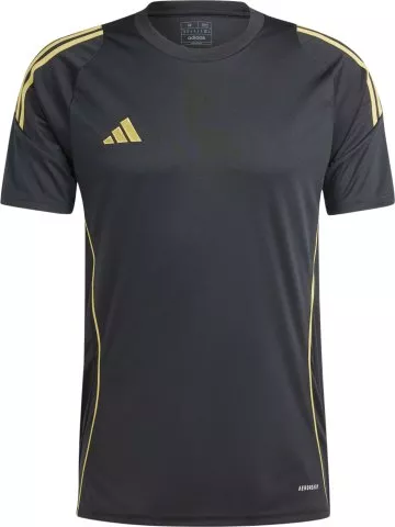 Tiro24