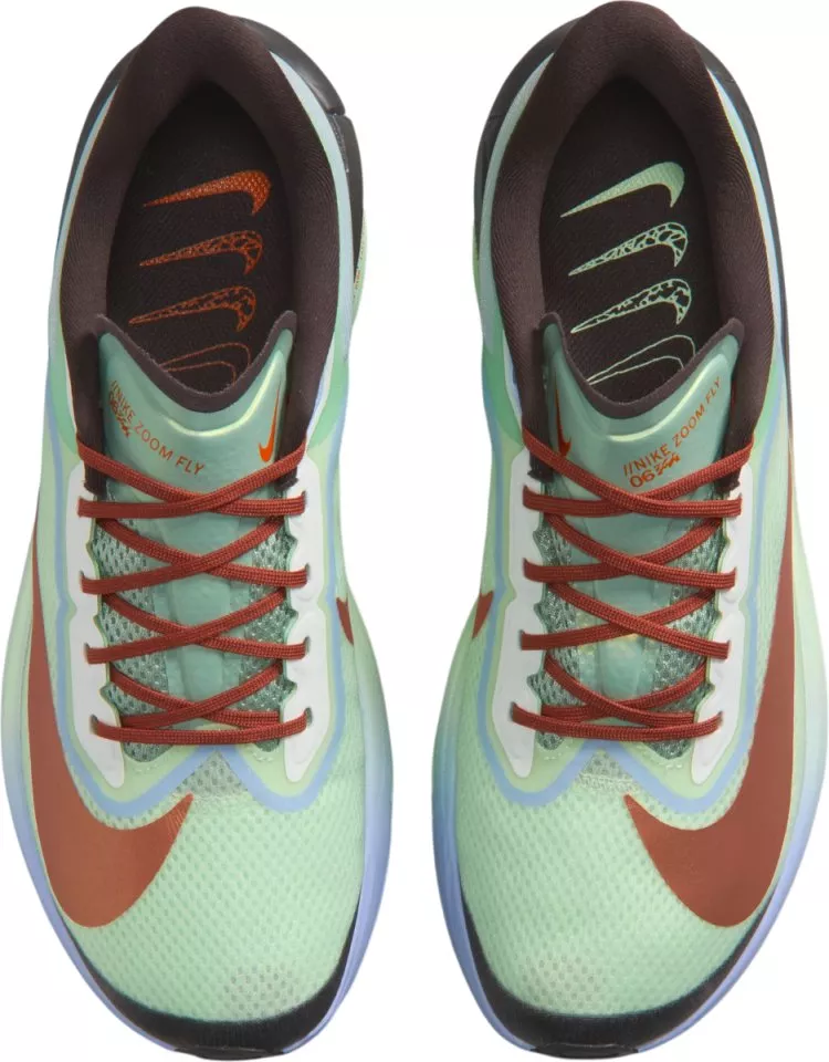 Sapatilhas de Corrida Nike Zoom Fly 6
