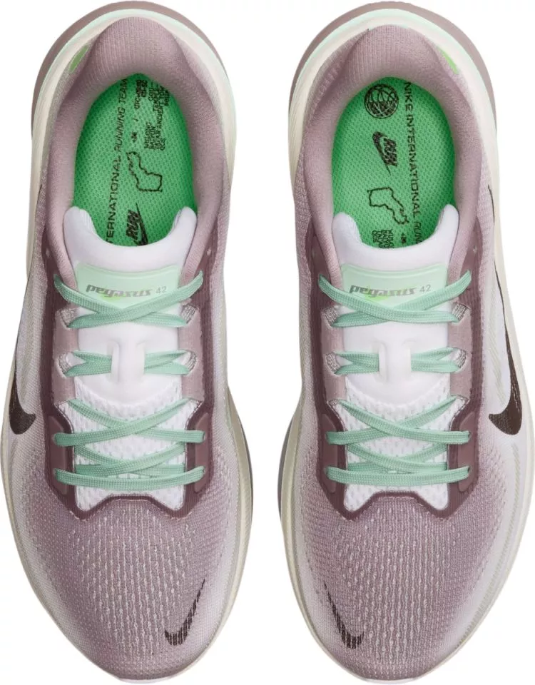 Παπούτσια για τρέξιμο Nike Pegasus 42