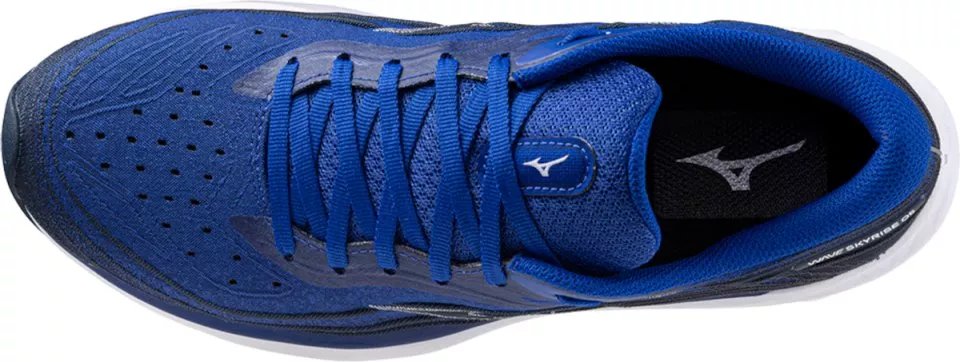 Pánské běžecké boty Mizuno Wave Skyrise 5