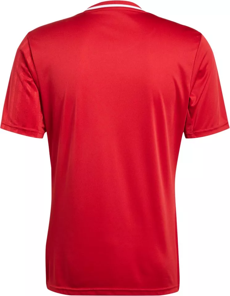 Maglia adidas CAMPEON25 JSY M