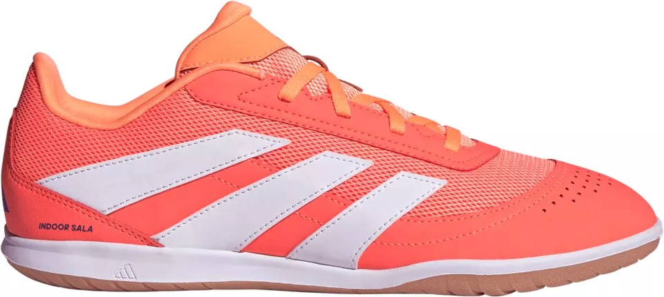 Indoor soccer shoes adidas Predator Club IN Sala