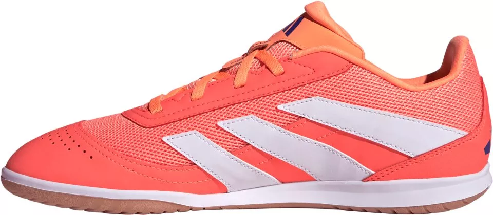 Indoor soccer shoes adidas Predator Club IN Sala