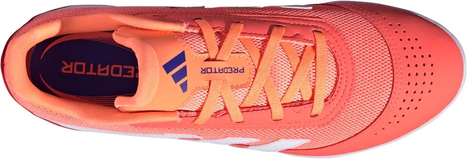 Indoor soccer shoes adidas Predator Club IN Sala