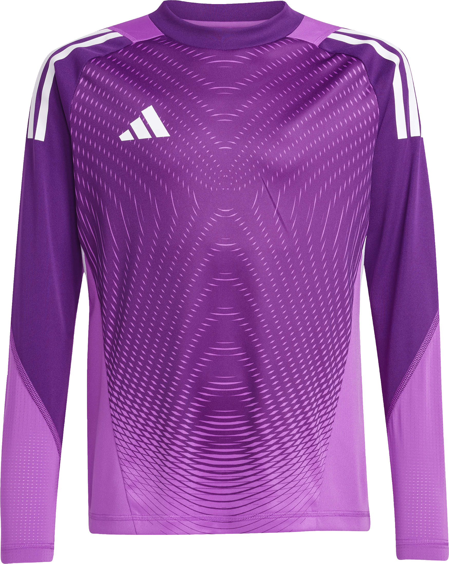T25 P GK JSY LY
