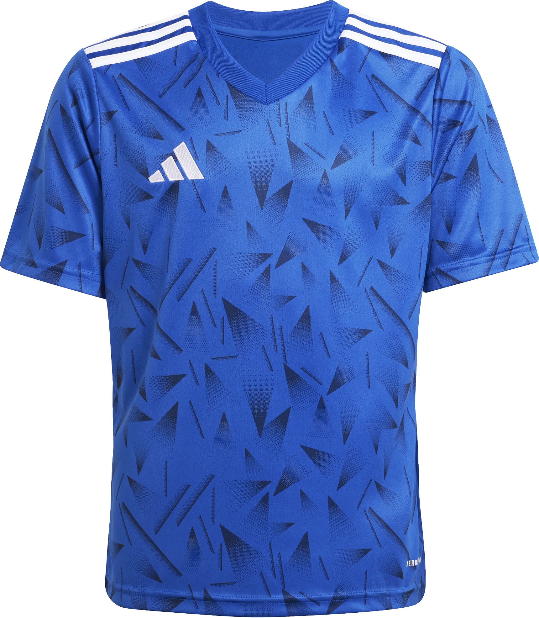 TEAM ICON25 JSY Y
