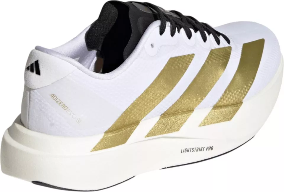 Laufschuhe adidas Adizero Evo SL