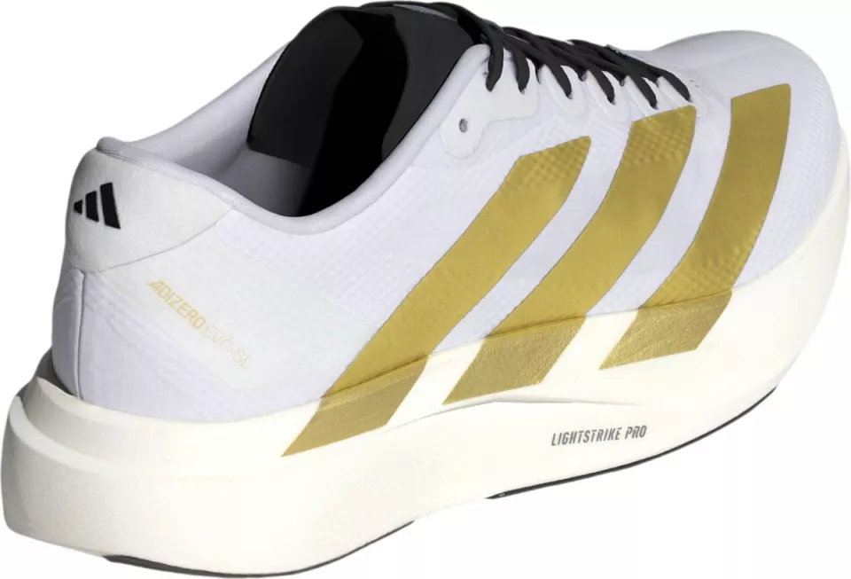 Laufschuhe adidas Adizero Evo SL