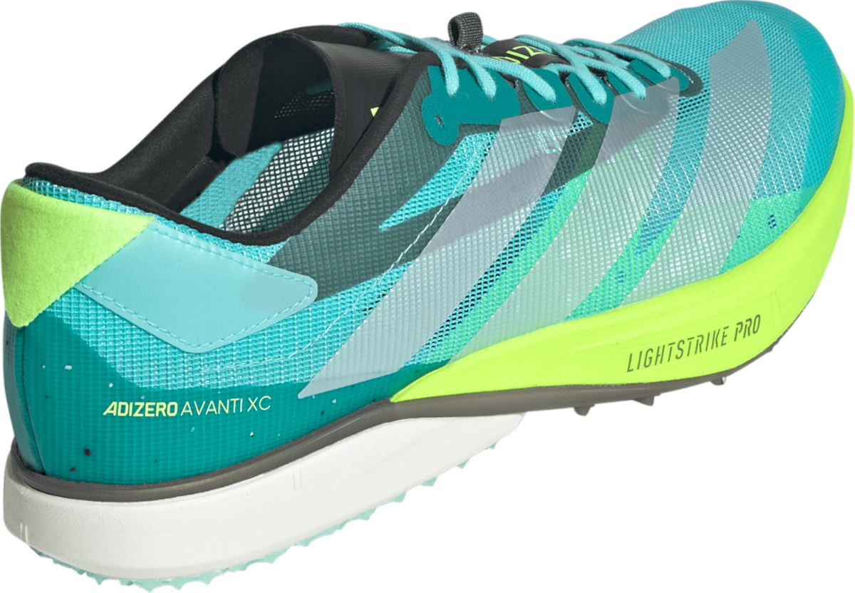 Track shoes/Spikes adidas ADIZERO AVANTI XC - Top4Running.com