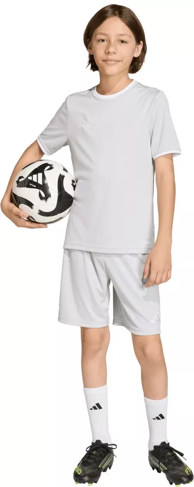 Dres adidas Entrada 26 Kids