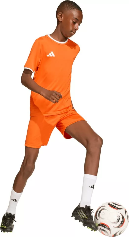 Dětský dres s krátkým rukávem adidas Entrada 26