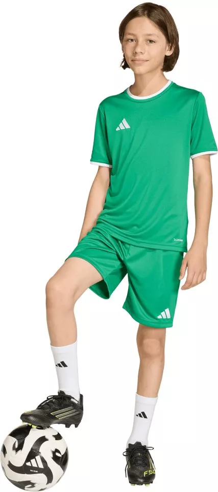 Dětský dres s krátkým rukávem adidas Entrada 26