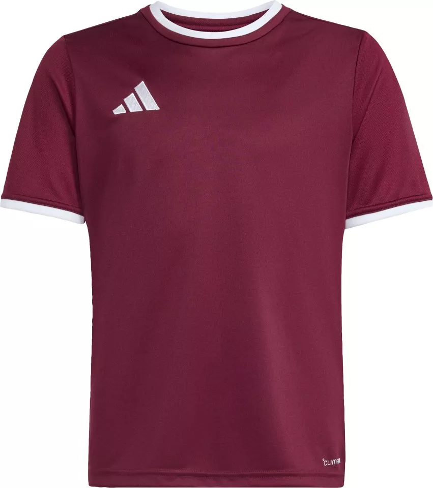 Dres adidas Entrada 26 Kids