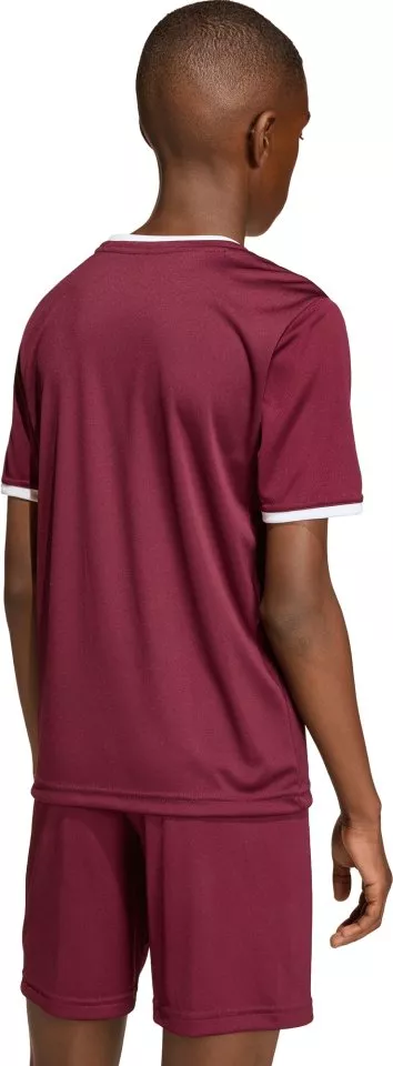 Dres adidas Entrada 26 Kids
