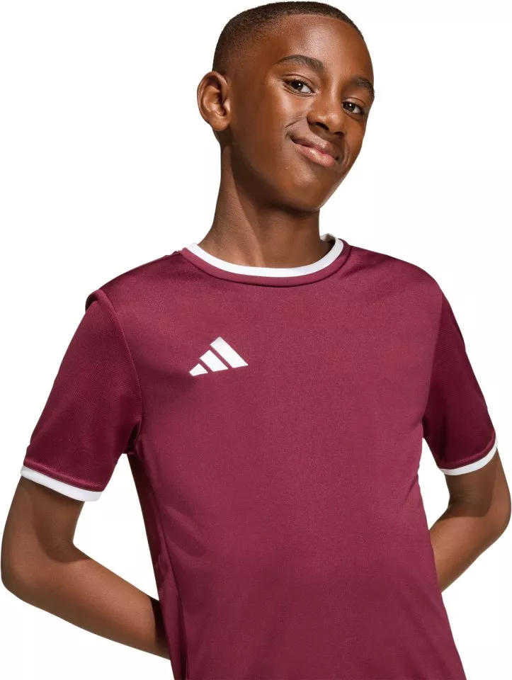 Dres adidas Entrada 26 Kids