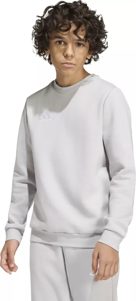 Mikina adidas Entrada 26 Sweat Kids