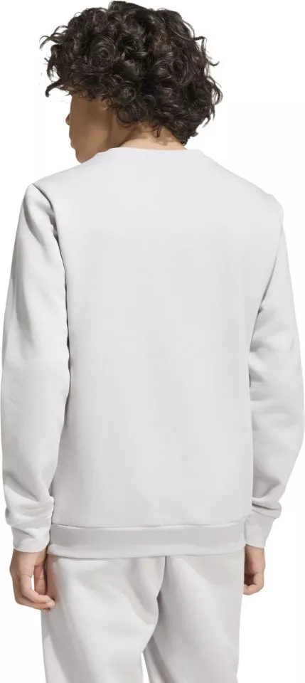 Mikina adidas Entrada 26 Sweat Kids
