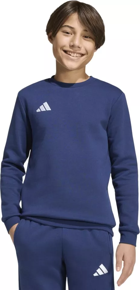 Bluza adidas Entrada 26 Sweat Kids