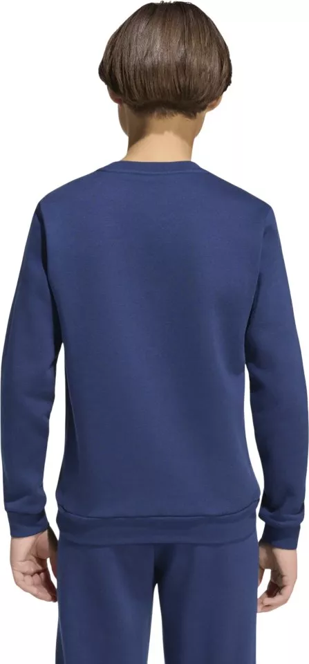 Bluza adidas Entrada 26 Sweat Kids
