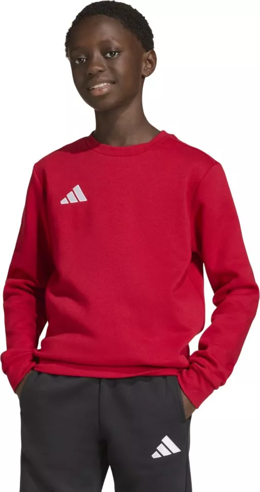 Mikina adidas Entrada 26 Sweat Kids