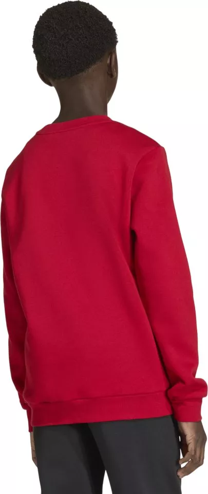 Mikina adidas Entrada 26 Sweat Kids