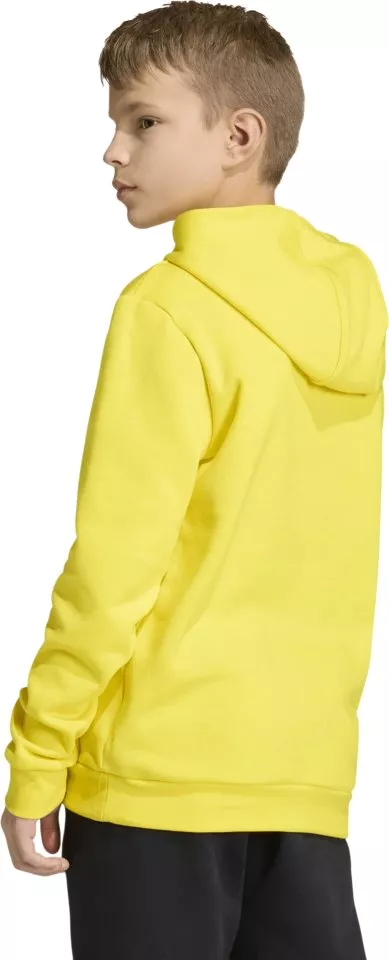 Mikina s kapucňou adidas Entrada 26 Kids