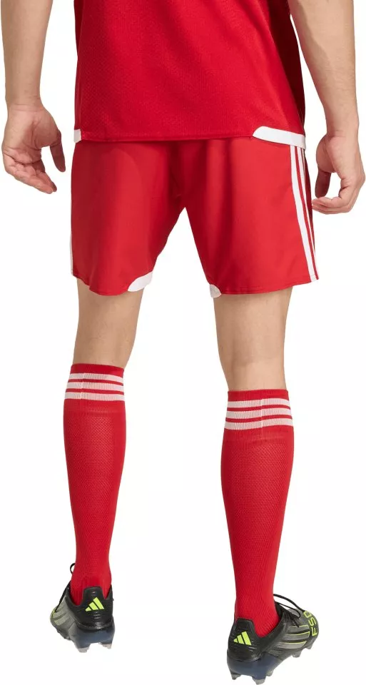 Sorturi adidas Tiro 26 Competition Match Day