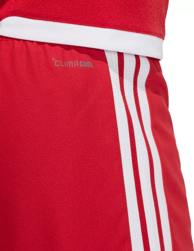Sorturi adidas Tiro 26 Competition Match Day