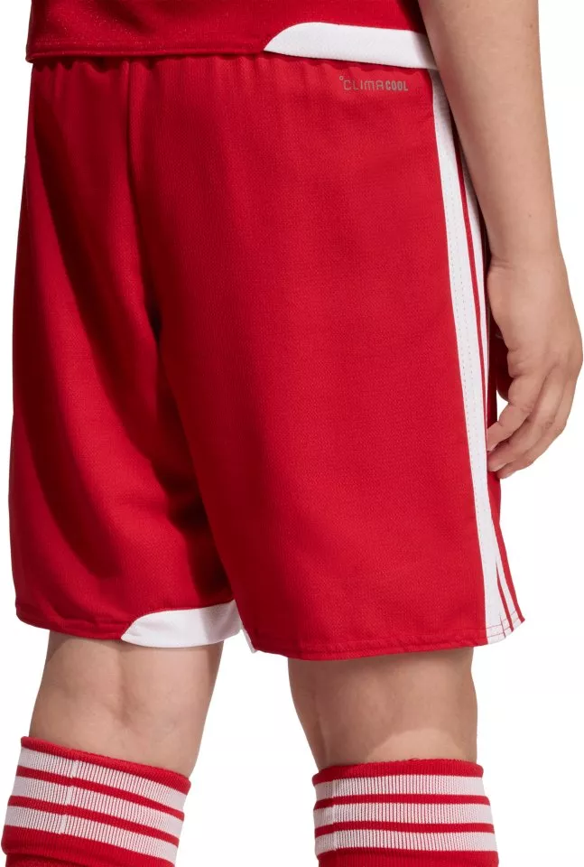 Pantalón corto adidas Tiro 26 Competition Match Day Kids