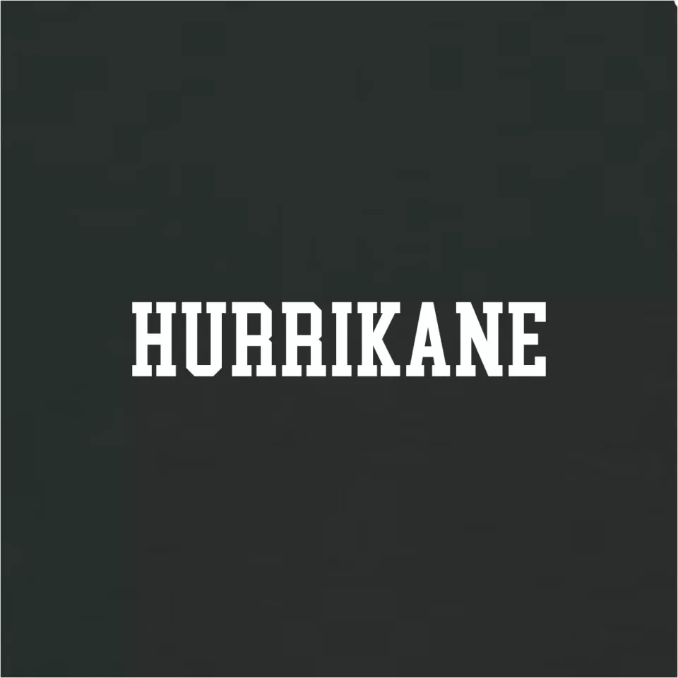 Męska koszulka z krótkim rękawem 11teamsports "HURRIKANE" World Cup 2026