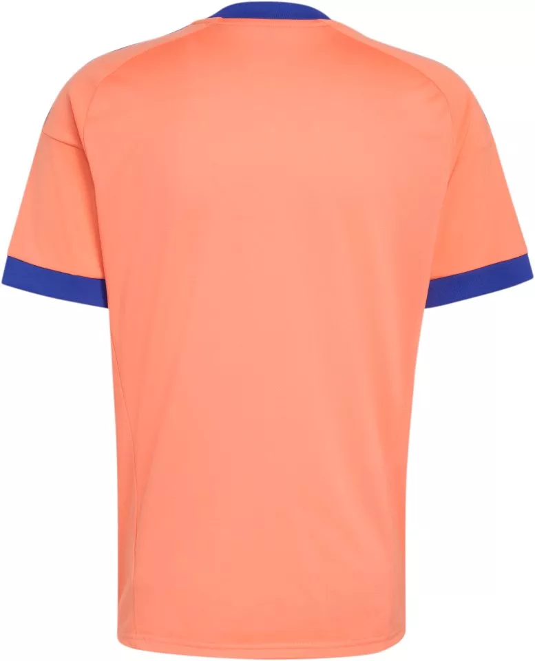 Φανέλα adidas Originals Germany Goalkeeper Away 2026