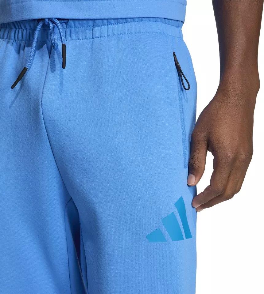 Hlače adidas Sportswear Z.N.E.