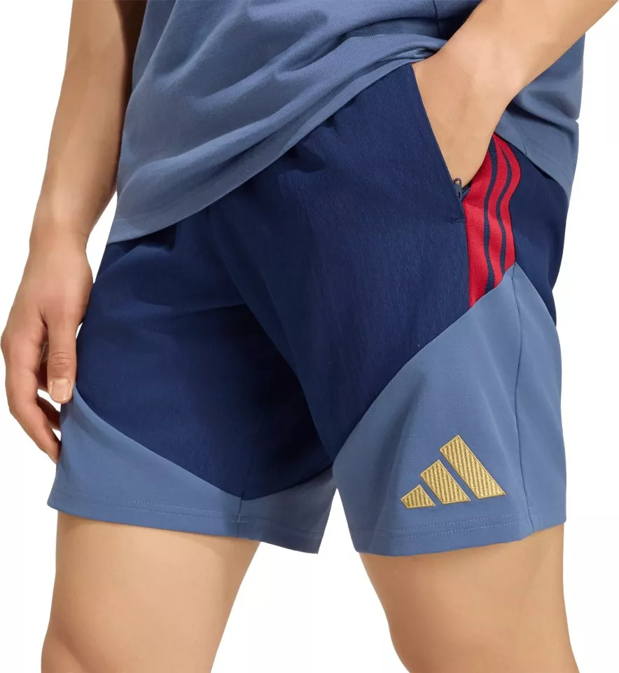 Pánské šortky adidas FC Bayern Downtime 2026/27