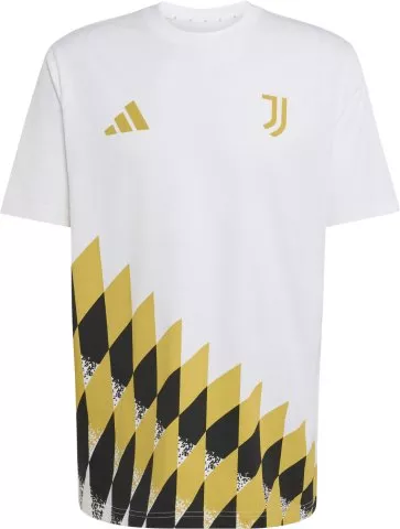 Juventus Stadium Graphic