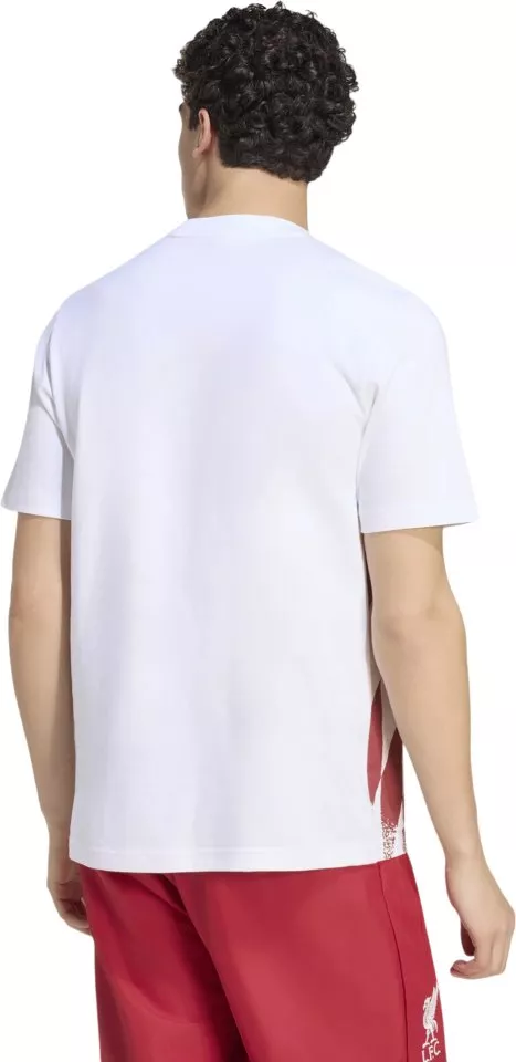 Pánské tričko s krátkým rukávem adidas Liverpool FC Stadium Graphic