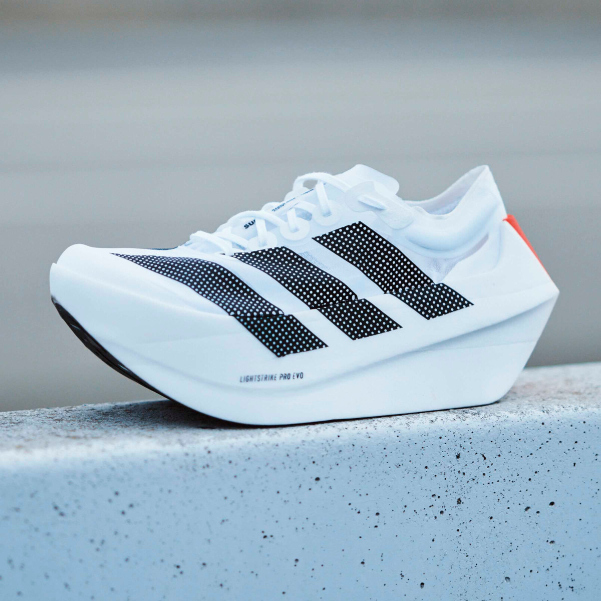 Hardloopschoen adidas Adizero Prime X Evo - Top4Running.nl