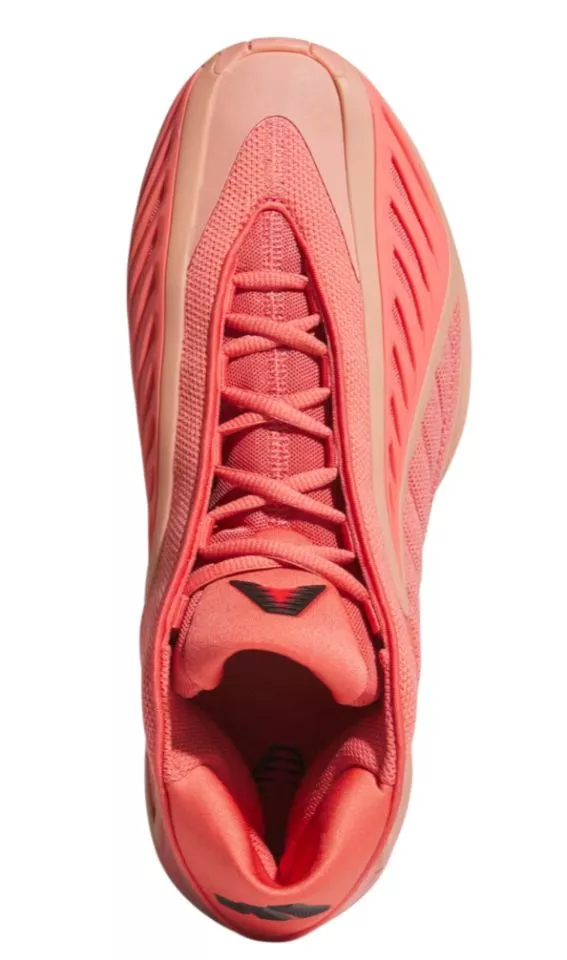 Παπούτσια μπάσκετ adidas Anthony Edwards 2