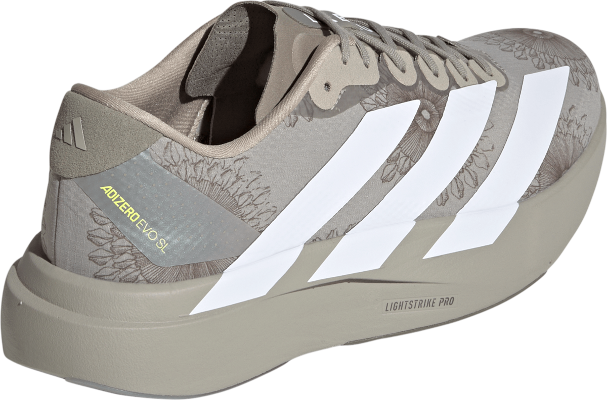 Running shoes adidas Adizero Evo SL Labrum - Top4Running.com