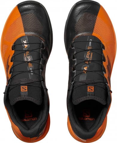 salomon alpine pro